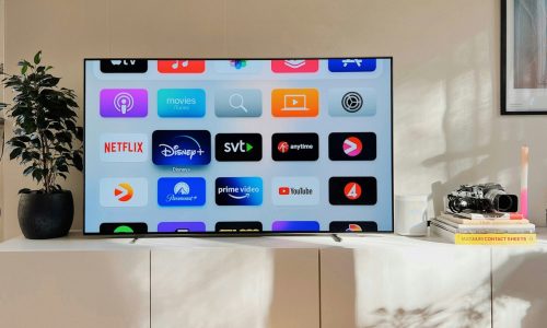AVOD, SVOD, TVOD, and FAST streaming models explained in a buyer’s guide to programmatic CTV advertising and digital media buying.
