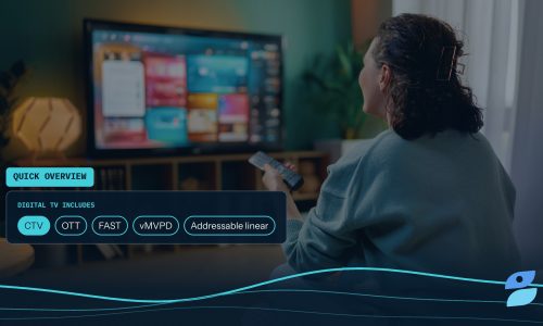 A woman browsing a streaming app home screen on a smart TV, with the formats that make up digital TV advertising listed beside her.